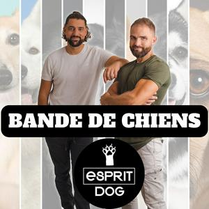 Ouça Bande de Chiens ! na aplicação