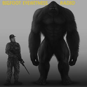 Ouça Bigfoot Eyewitness Radio na aplicação