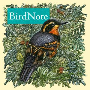 Ouça BirdNote Daily na aplicação