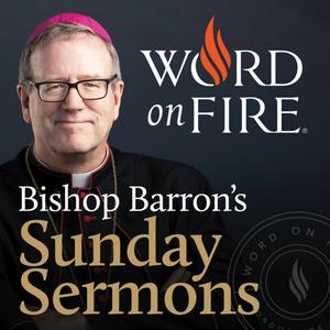 Ouça Bishop Barron’s Sunday Sermons - Catholic Preaching and Homilies na aplicação