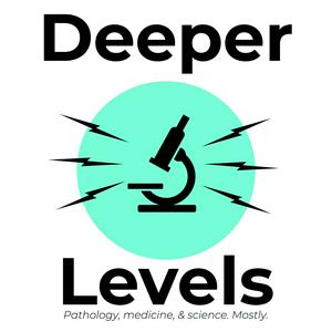 Ouça Deeper Levels na aplicação