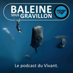 Ouça Baleine sous Gravillon na aplicação