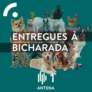 Ouça Entregues à Bicharada na aplicação