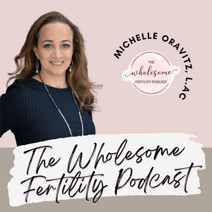 Ouça The Wholesome Fertility Podcast na aplicação