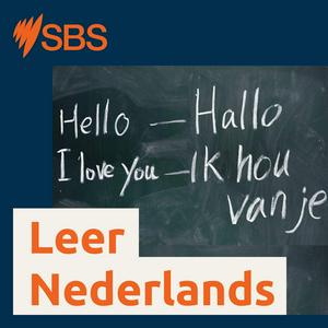 Ouça Learn Dutch - Leer Nederlands na aplicação