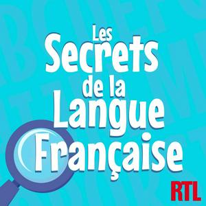 Ouça Les secrets de la langue française : orthographe, grammaire et conjugaison na aplicação