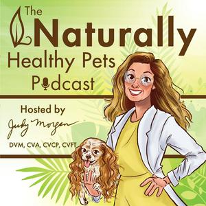 Ouça Naturally Healthy Pets Podcast na aplicação