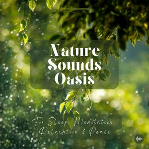 Ouça Nature Sounds Oasis | Relaxing Nature Sounds For Sleep, Meditation, Relaxation Or Focus | Sounds Of Nature | Sleep Sounds, Sleep Music, Meditation Sounds, Ocean Waves, Rain, White Noise & More na aplicação