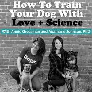 Ouça How To Train Your Dog With Love + Science - Dog Training with Annie Grossman + Anamarie Johnson PhD na aplicação