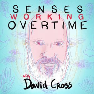 Ouça Senses Working Overtime with David Cross na aplicação