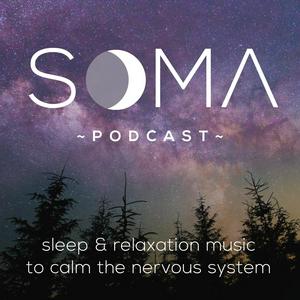 Ouça Sleep & Relaxation Music to Calm the Nervous System na aplicação