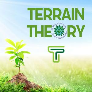 Ouça Terrain Theory na aplicação