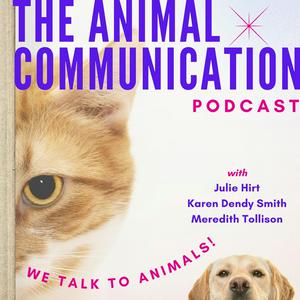 Ouça The Animal Communication Podcast na aplicação