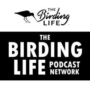 Ouça The Birding Life Podcast Network na aplicação