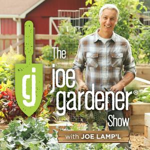 Ouça The joe gardener Show - Organic Gardening - Vegetable Gardening - Expert Garden Advice From Joe Lamp'l na aplicação