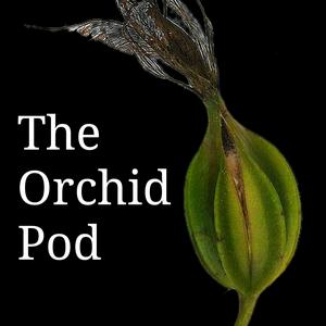 Ouça The Orchid Pod na aplicação