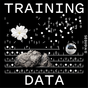 Ouça Training Data na aplicação