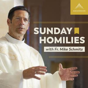 Ouça Sunday Homilies with Fr. Mike Schmitz na aplicação