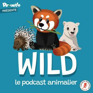 Ouça Wild, le podcast animalier na aplicação